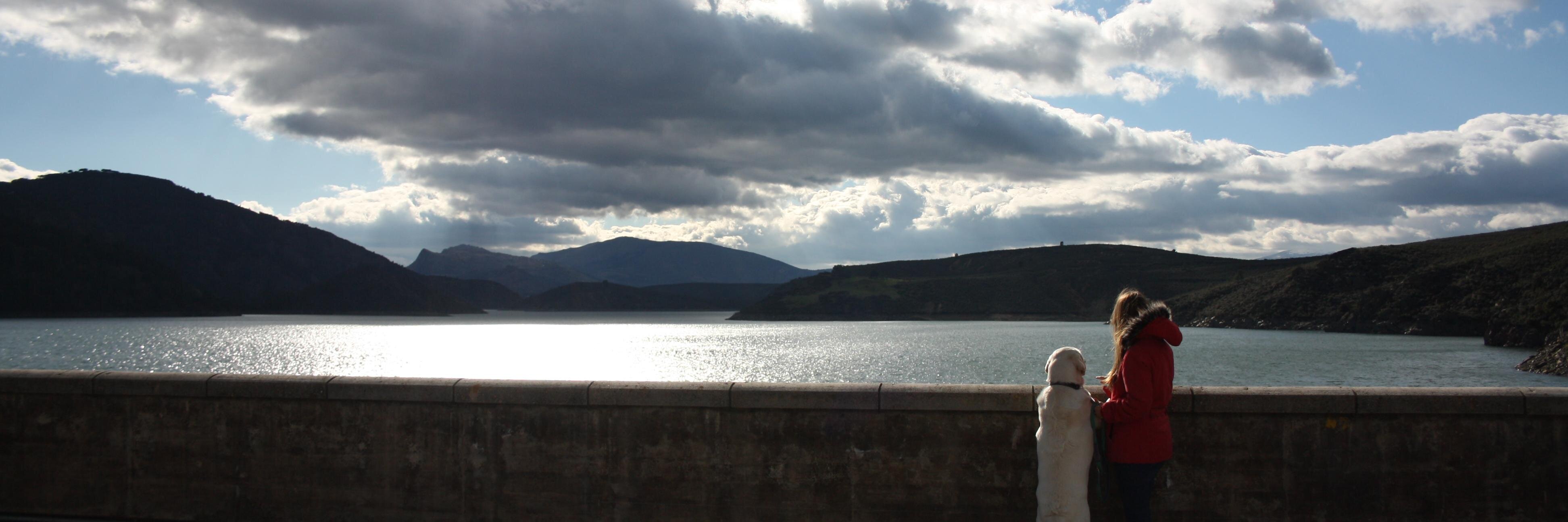 andreagoe's profile banner image