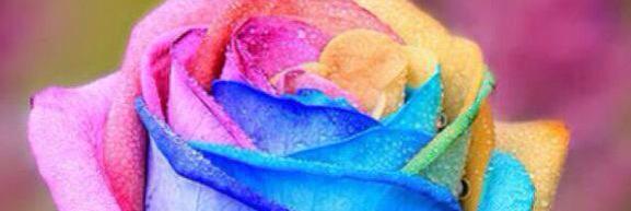 js9777's profile banner image