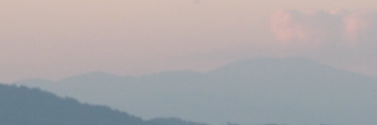 emilyceae's profile banner image