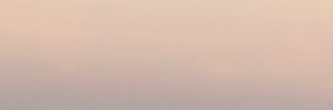 리 banner