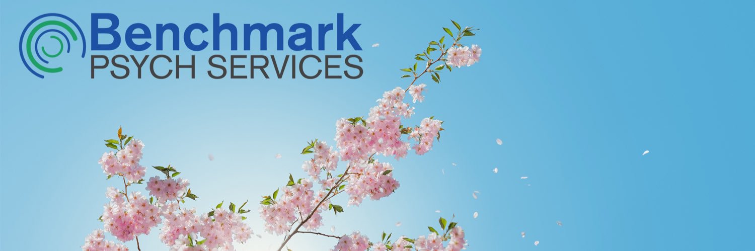 BenchmarkPsych's profile banner image