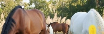 雨の匂いが好き banner