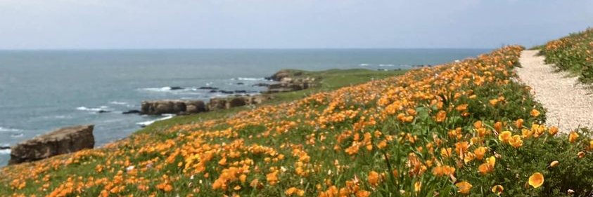 OceanBreeze 🌊🌊🌊🇺🇦🌻. banner