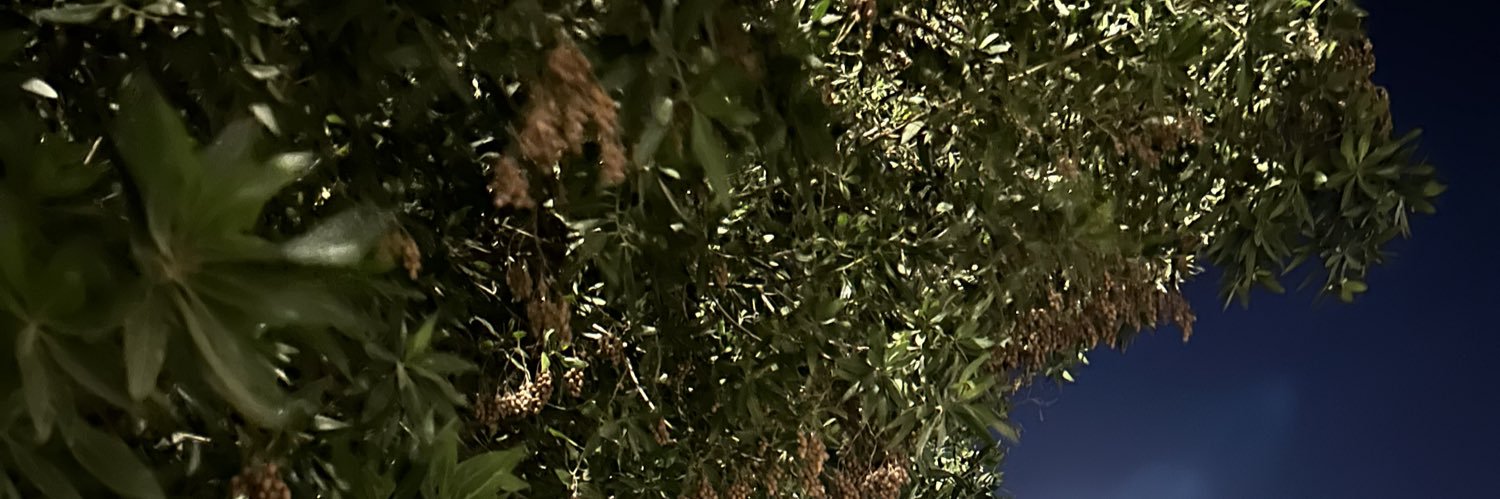 llollohh's profile banner image