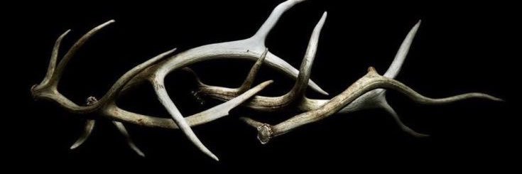 rowan duffy 🦌 | kierans husband banner