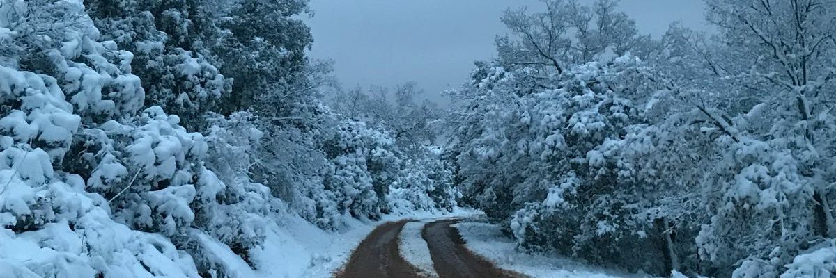 AitorFerrer's profile banner image