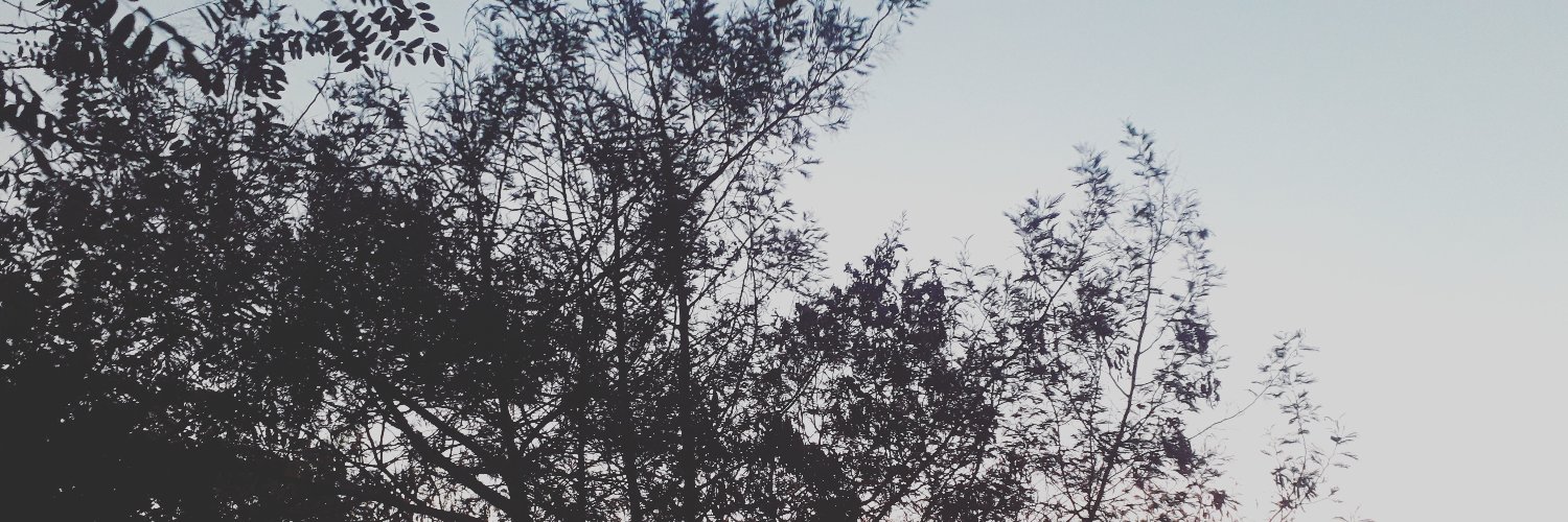 Alejandro Moreno banner