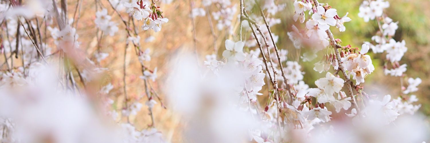 nikunosuke's profile banner image