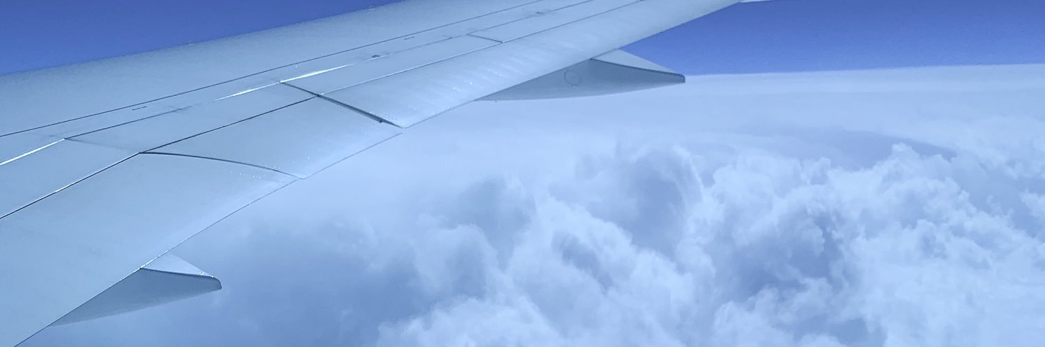 T599939968052's profile banner image
