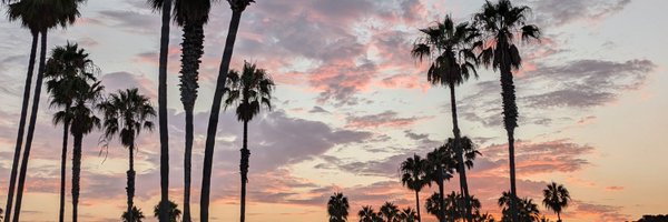 jongardella Profile Banner