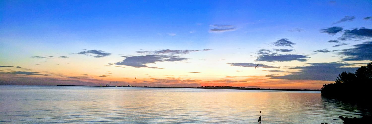 TDHawk21's profile banner image