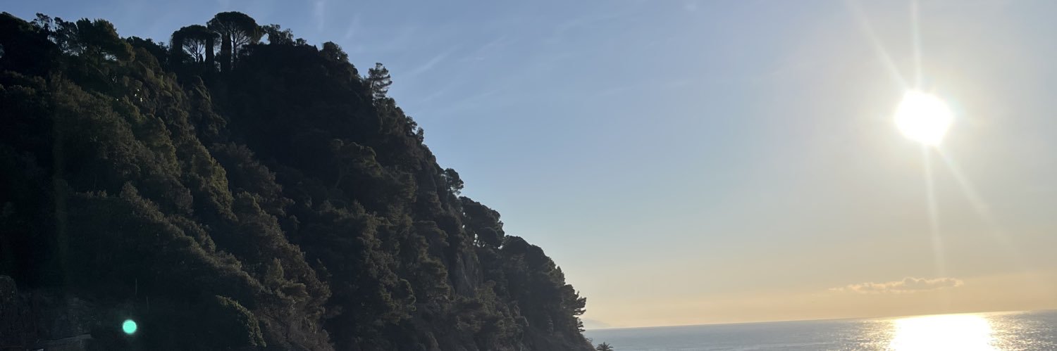 insertonecoin's profile banner image