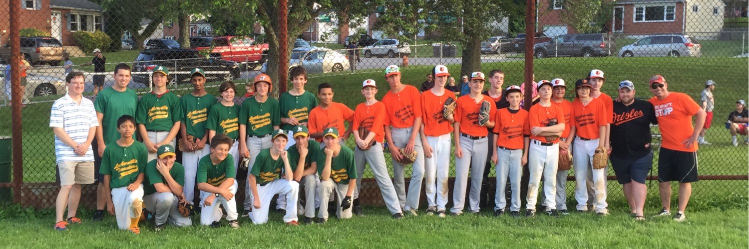 LTRC Youth Baseball banner