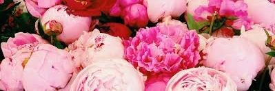 melenie's profile banner image