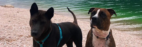 divinae__ Profile Banner