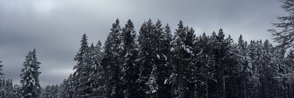 elderthorkell Profile Banner