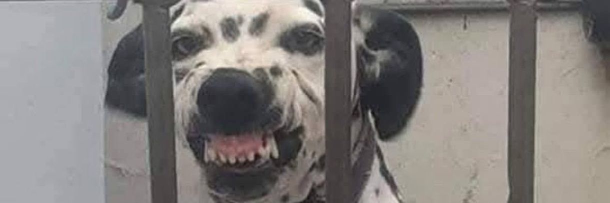 Rubeous Bengoechea banner