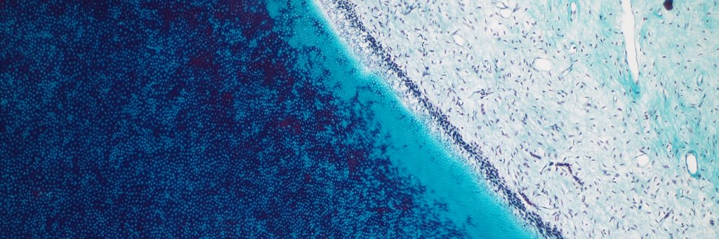 Merva Soluk Tekkesin banner