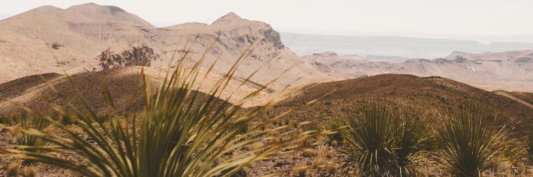 JuliaMaenius's profile banner image