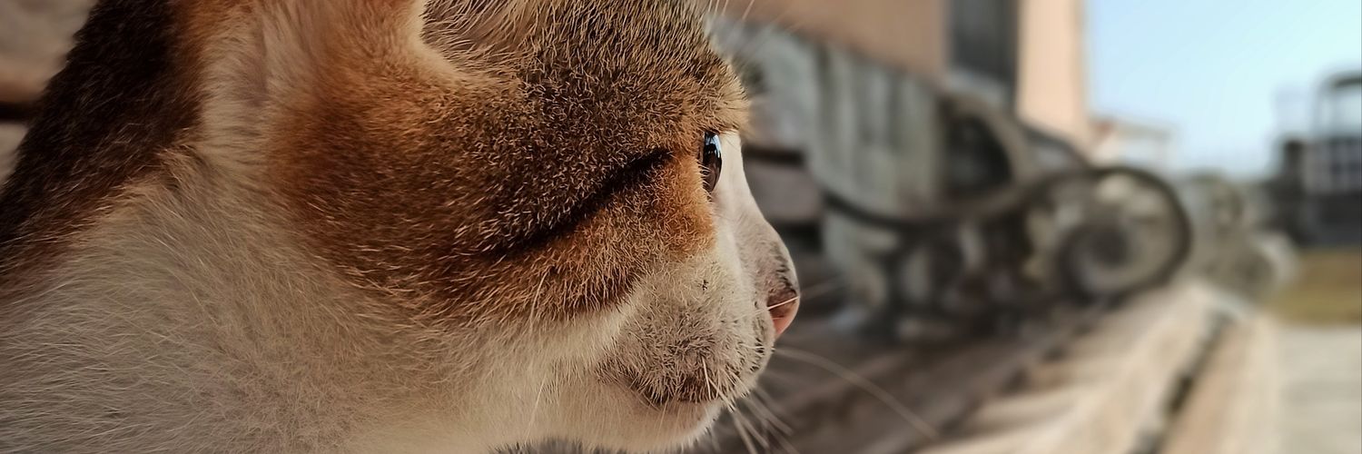 ChriGkor's profile banner image
