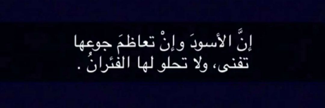 Ali_7afiz's profile banner image