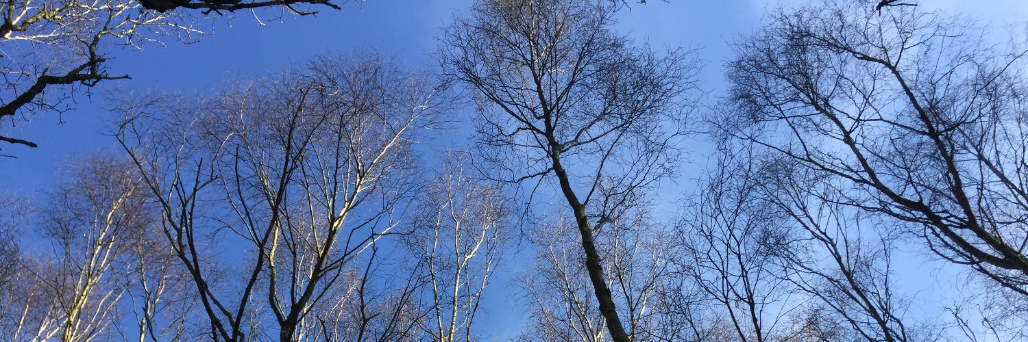 Chris Williams banner