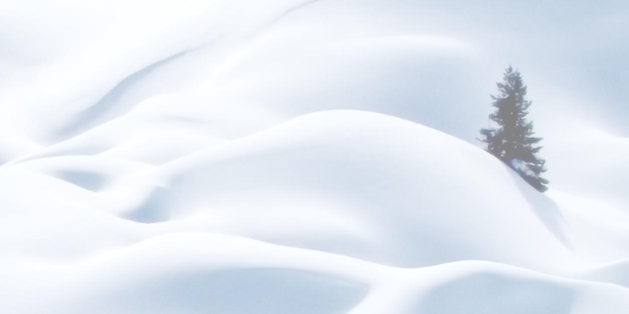andrebardy's profile banner image