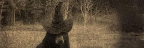 bigwethole Profile Banner