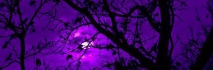 Herzha 💜🔞 banner