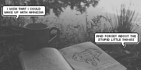a_Read__Bio_'s profile banner image