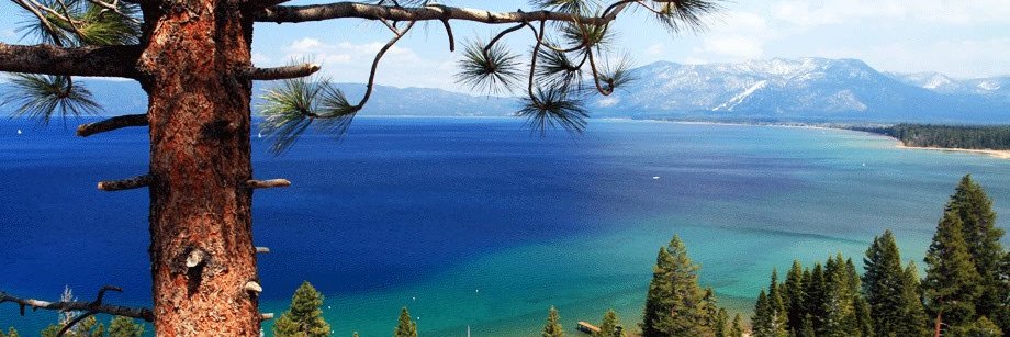 PineConeResort's profile banner image