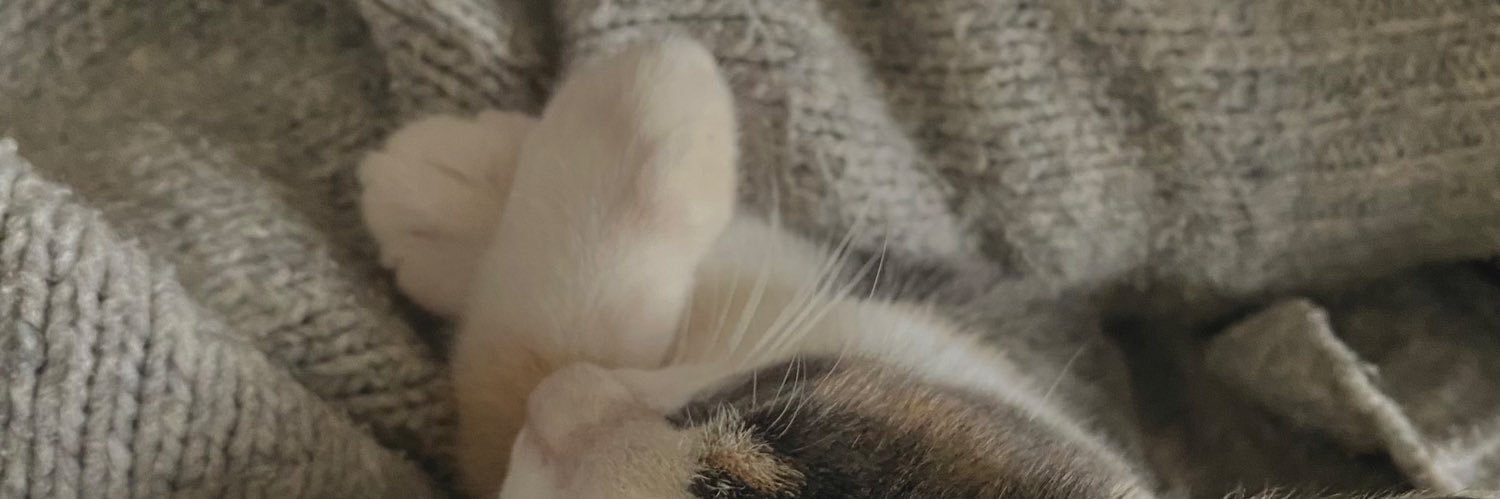 sinarroba9's profile banner image