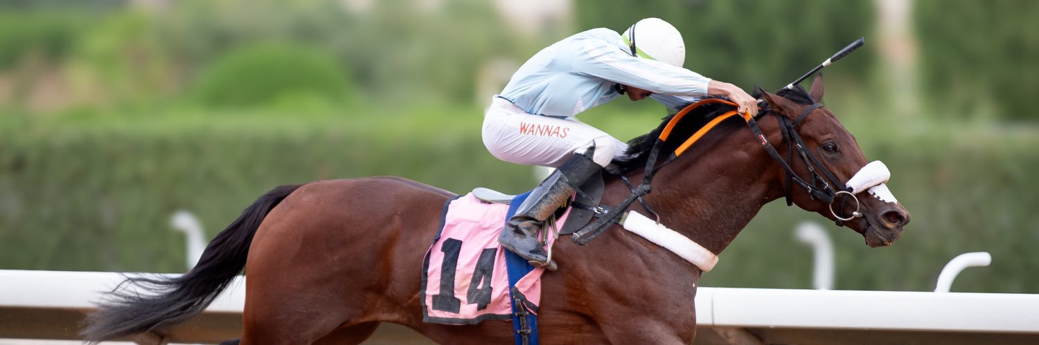 AlRajhi Stables banner