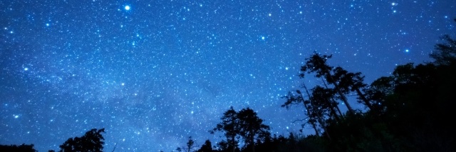 ありぐみ banner