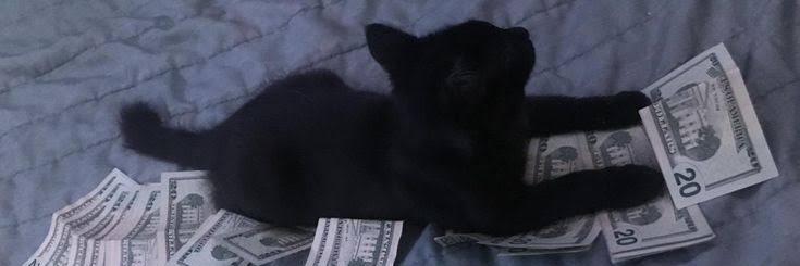 MoneyMarinus's profile banner image