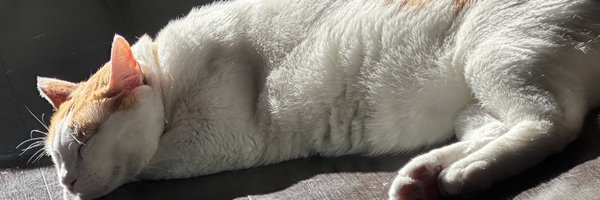 uo_oumnr Profile Banner