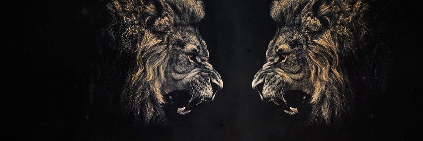 Julius_Sodium's profile banner image