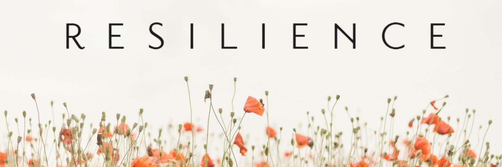 mel1416_ml's profile banner image