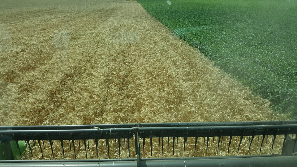 Mike Willegal banner