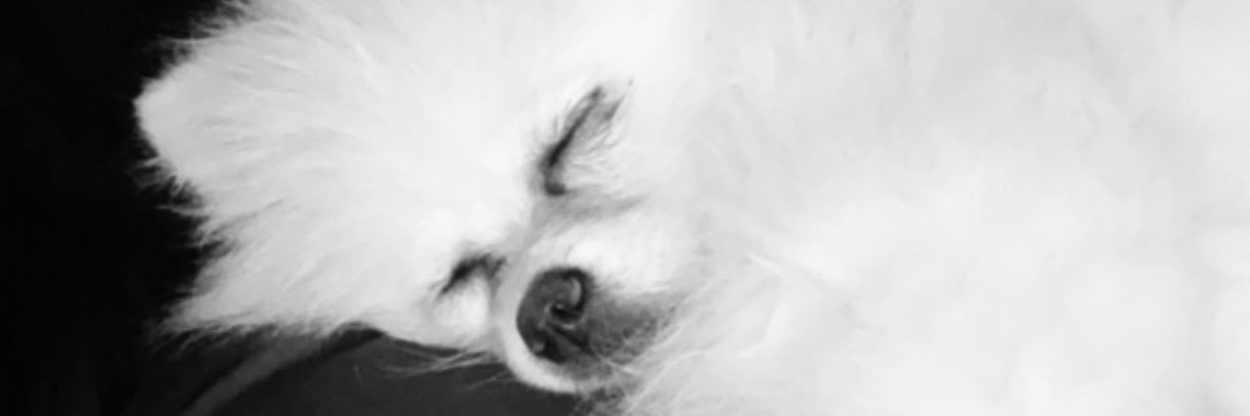 _valxm's profile banner image