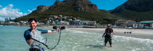 tomgreeEn Profile Banner