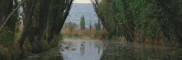 Agonistico Profile Banner