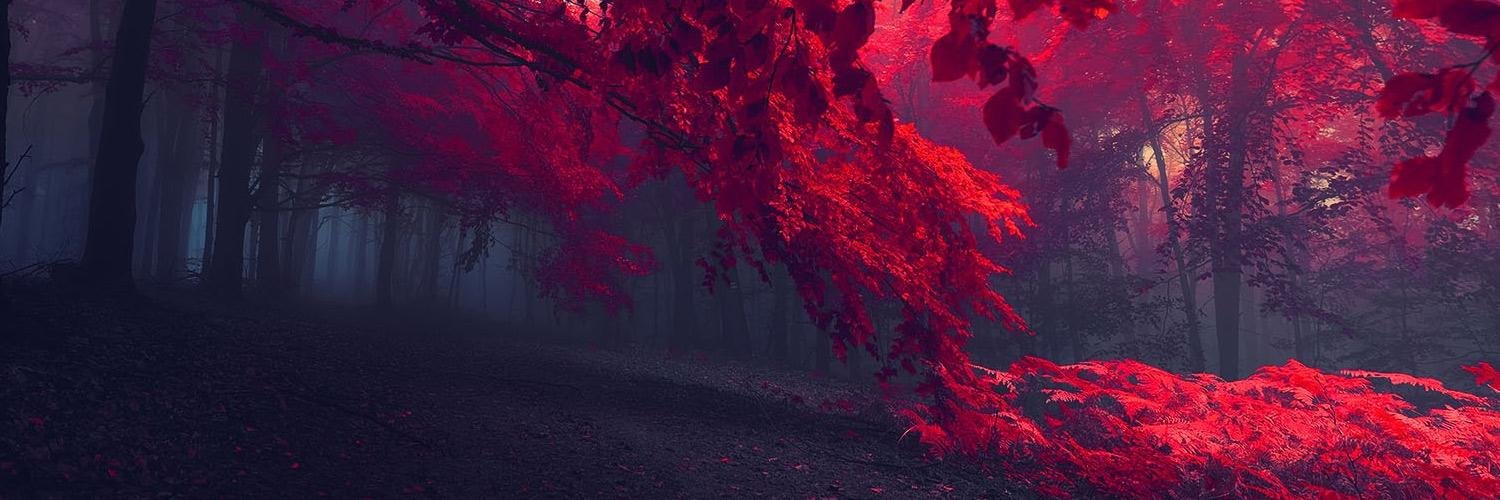 scarybones's profile banner image