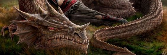 ocelot2002's profile banner image