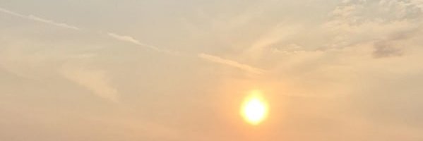 Rhosyn100's profile banner image