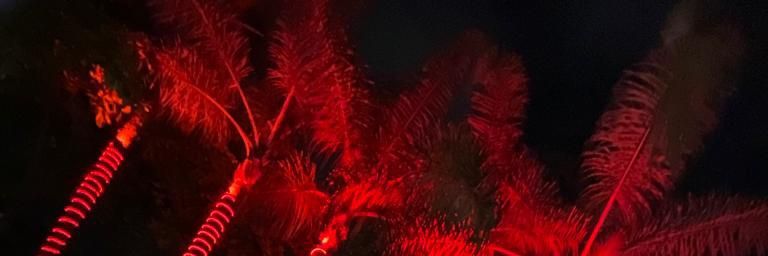 NumaePaKori's profile banner image