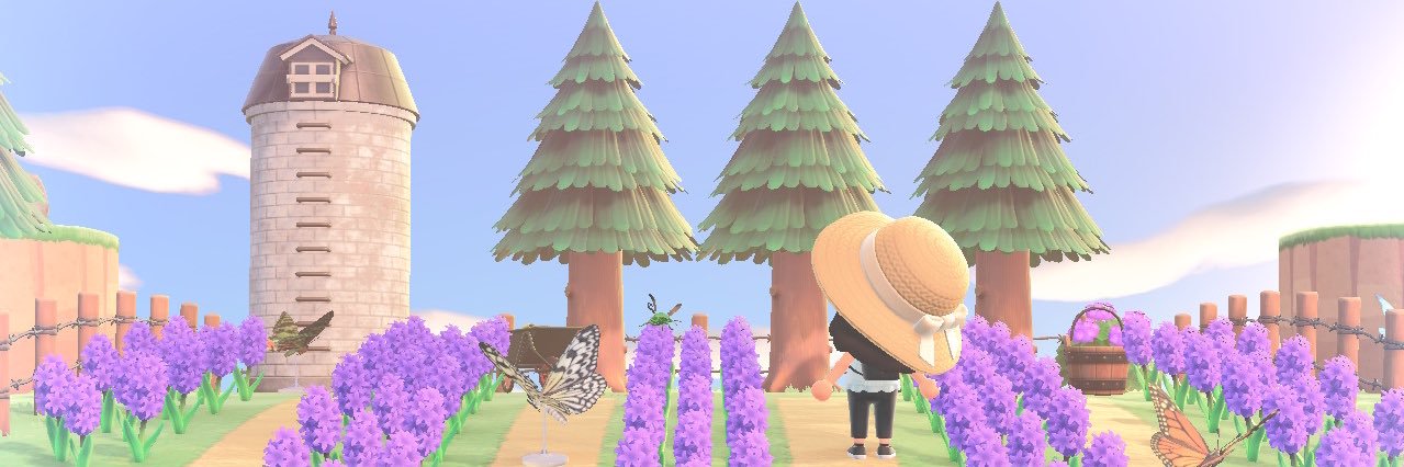 Charlotte 👒 banner
