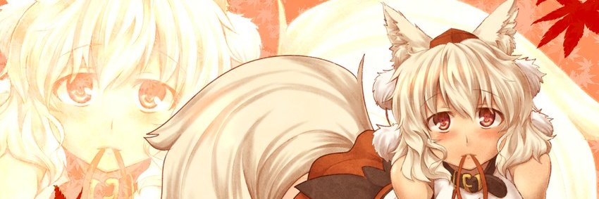 Fira banner