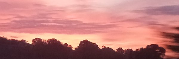 ShesInPartiesXx Profile Banner