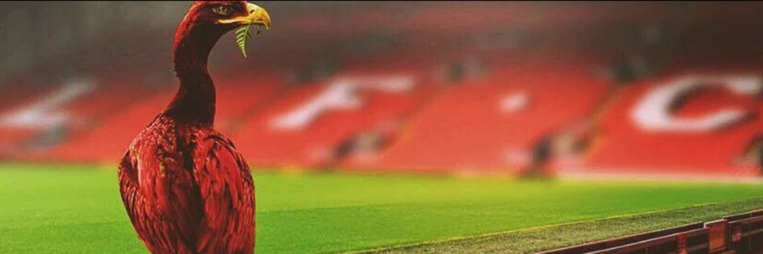 OlliConway's profile banner image
